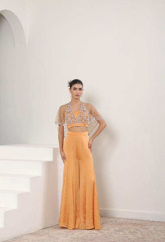 Orange Satin Organza Embroidered Sharara & Cape Set - Festive Wear